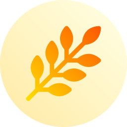 Herbs icon