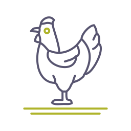 Poultry icon