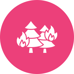 Wildfire icon