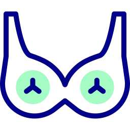 Bra icon