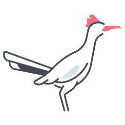 Roadrunner icon