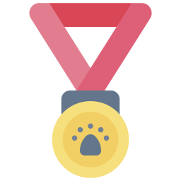 medal ikona