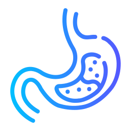 Stomach icon