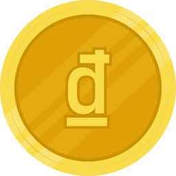 dong icon