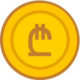 Lari icon