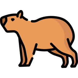 Capybara icon