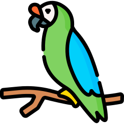 Macaw icon