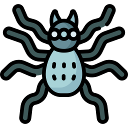 Spider icon