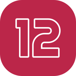 12 icon