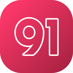 91 Ícone