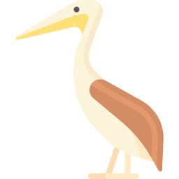 Pelican icon