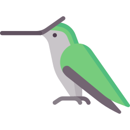 Hummingbird icon