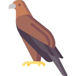 Eagle icon