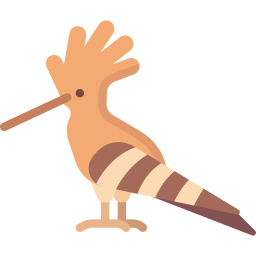 Hoopoe icon