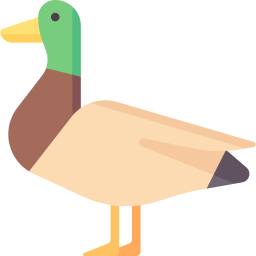 Duck icon