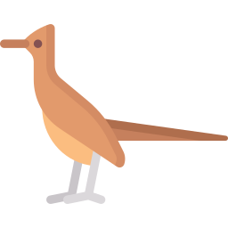 Roadrunner icon