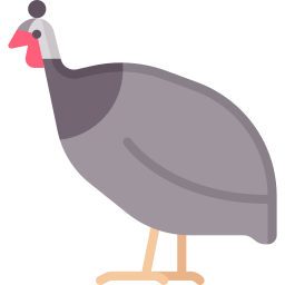 Turkey icon