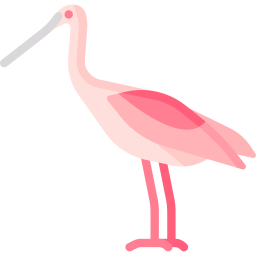 Spoonbill icon