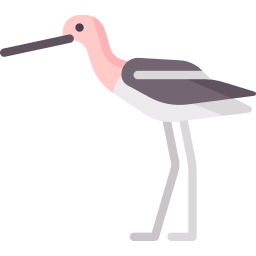 Avocet icon