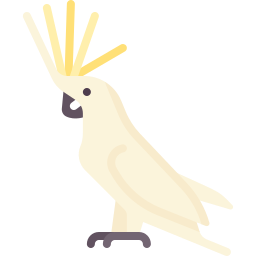 Cockatoo icon