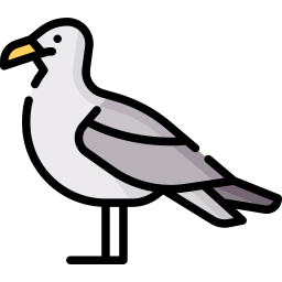 Seagull icon