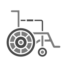 Handicapped icon