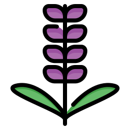 lavendel icon