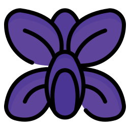 orchidee icon