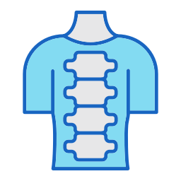 chiropraktik icon