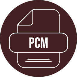 pcm Icône