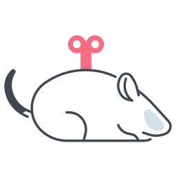 Mouse Toy icon