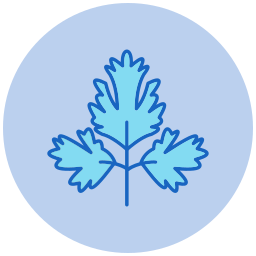 Parsley icon