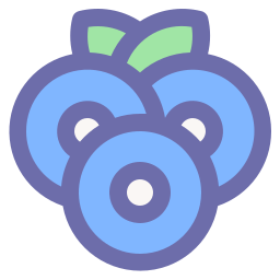 blaubeeren icon