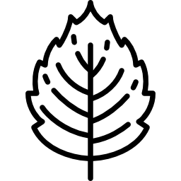 Leaf icon