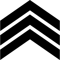 chevrons Icône