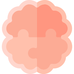 Brain icon