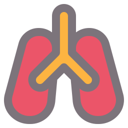 anatomy icon