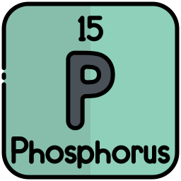 phosphor icon