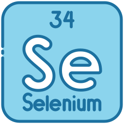 selenium icoon