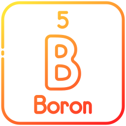 bor icon