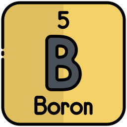 bor icon