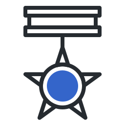 Medal  icon