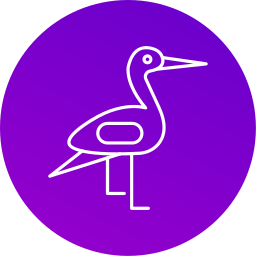 storch icon