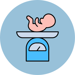 Baby weight icon