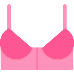 Bra icon