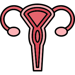 Uterus icon