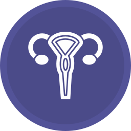 Uterus icon