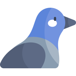 Pigeon icon