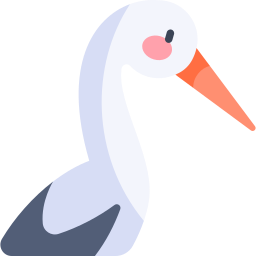 storch icon