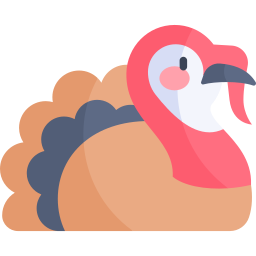 Turkey icon